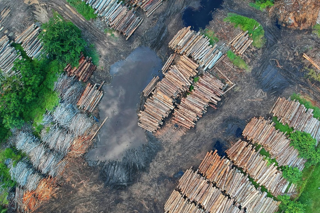 Deforestasi, Mampukah Kita Belajar dari Pengalaman?